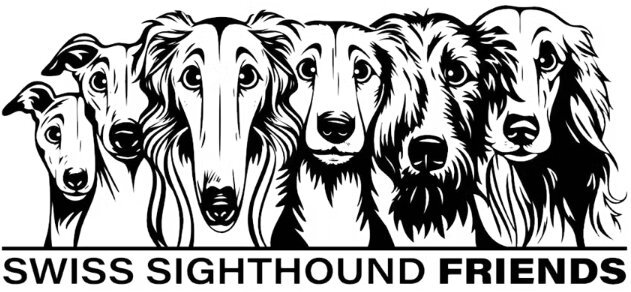 Logo SSF